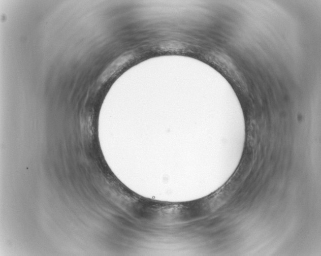 X0000088610116200706221440