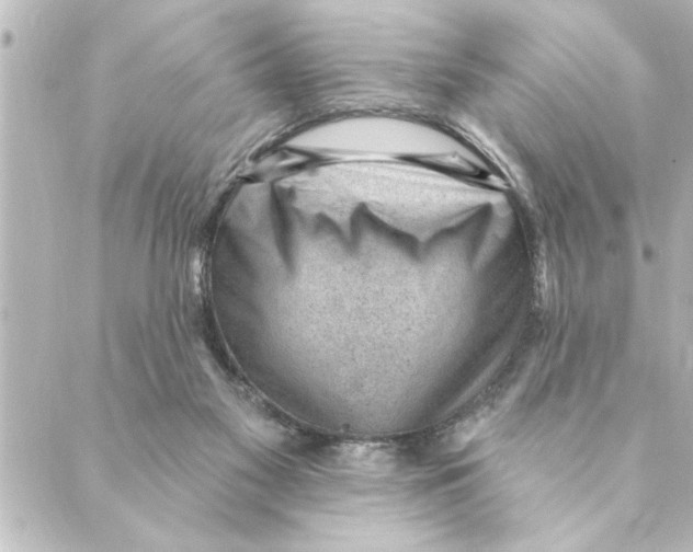 X0000088610117200706221440