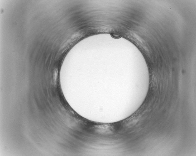 X0000088610118200706221440