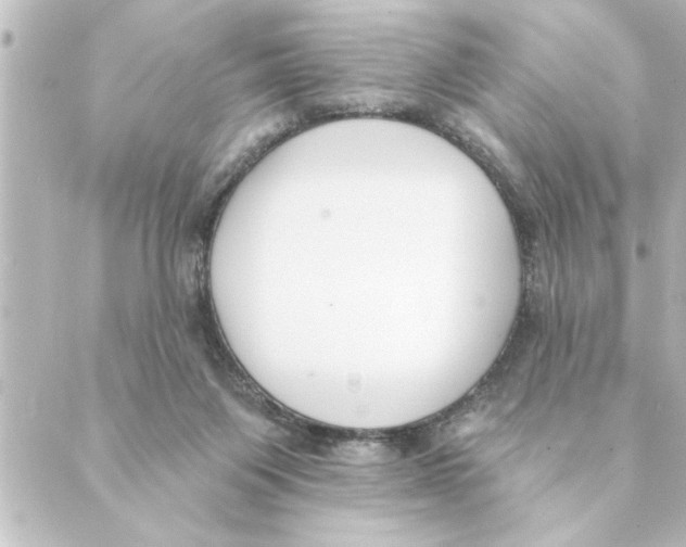 X0000088610119200706221440