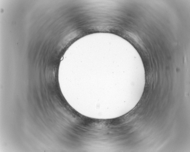 X0000088610120200706221440