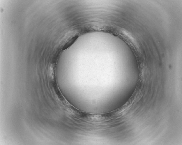 X0000088610121200706221440