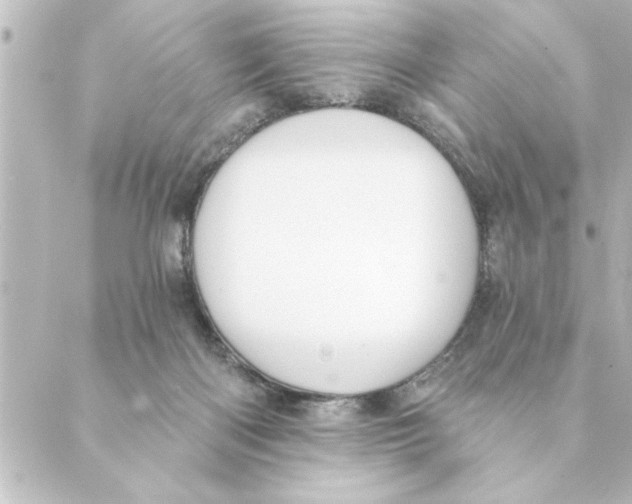 X0000088610122200706221440