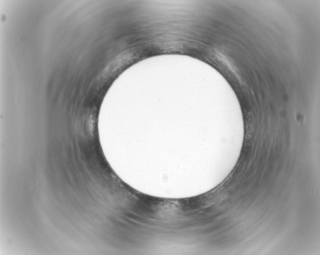 X0000088610124200706221440