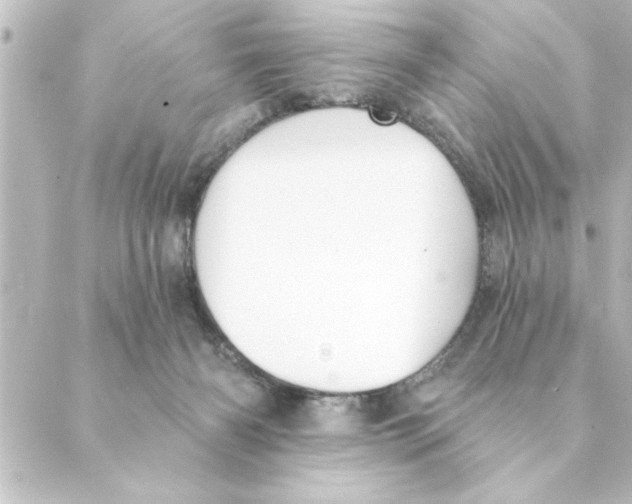 X0000088610126200706221440