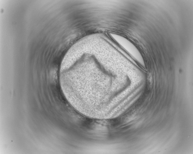 X0000088610127200706221440