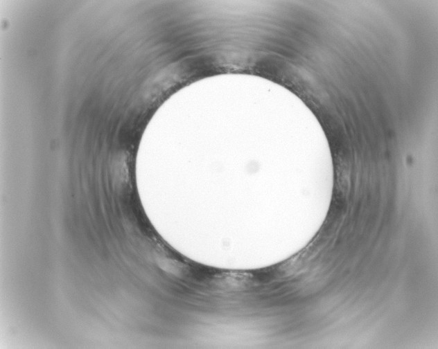 X0000088610128200706221440