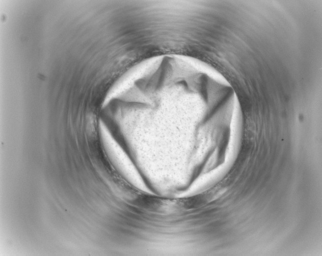 X0000088610130200706221440