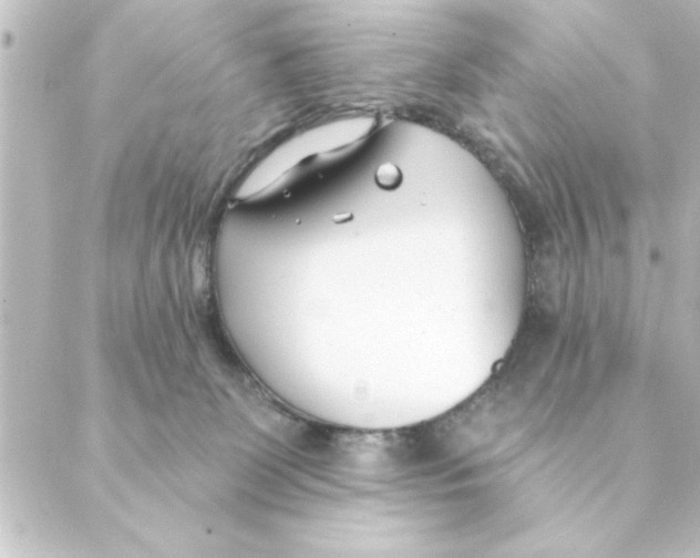 X0000088610131200706221440