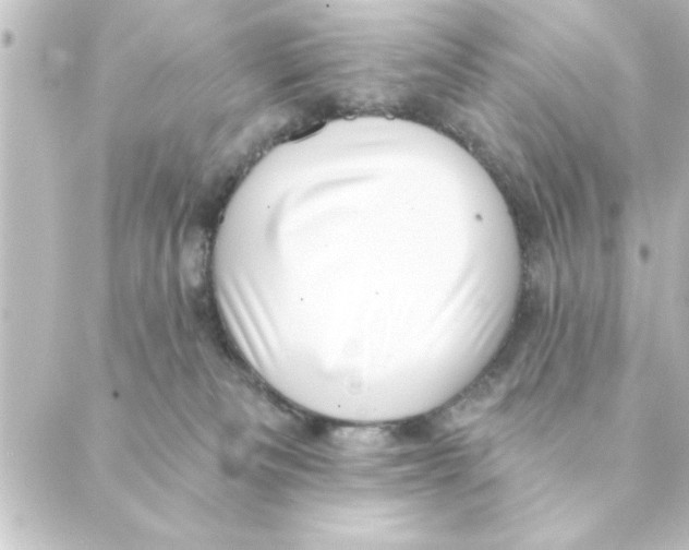 X0000088610133200706221440