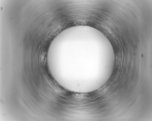 X0000088610134200706221440