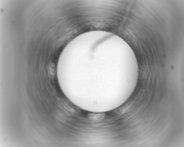 X0000088610135200706221440