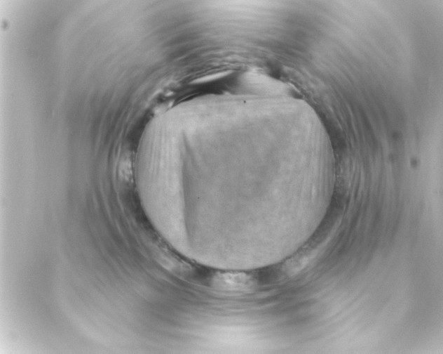 X0000088610137200706221440