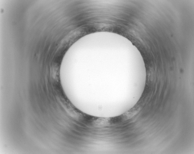 X0000088610138200706221440