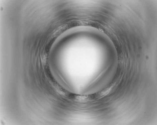 X0000088610139200706221440