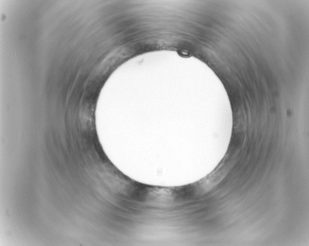 X0000088610140200706221440