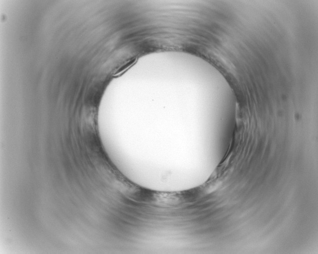 X0000088610141200706221440