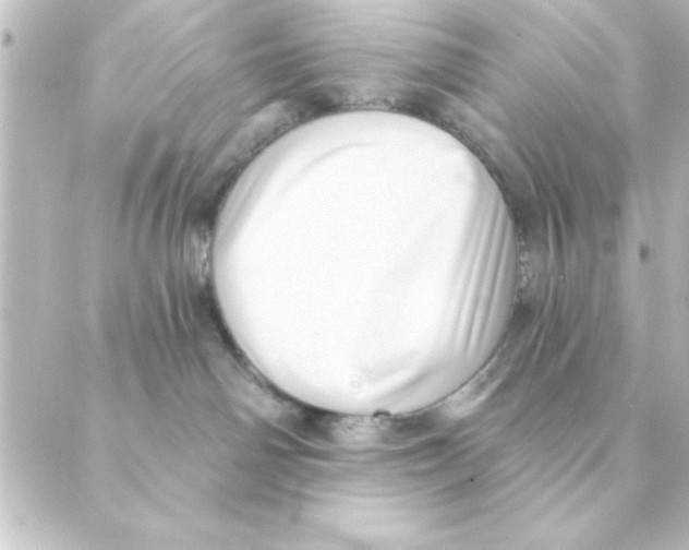 X0000088610142200706221440