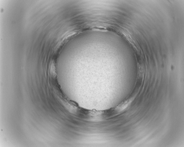 X0000088610143200706221440