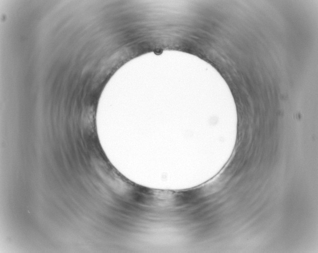 X0000088610144200706221440