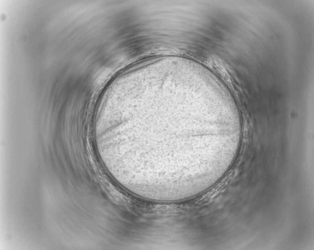 X0000088610145200706221439