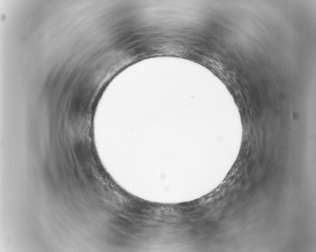 X0000088610146200706221439