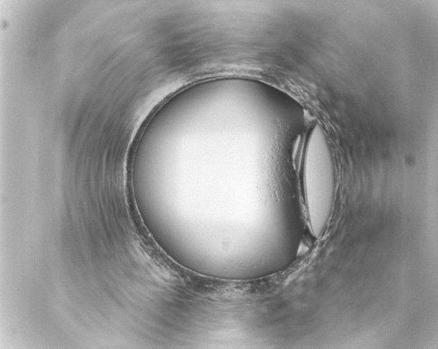 X0000088610148200706221439