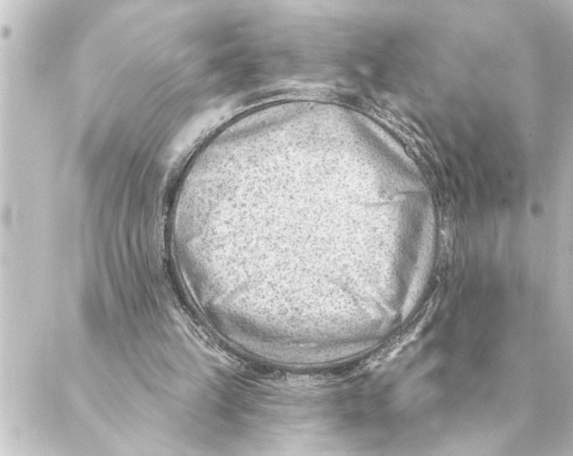 X0000088610149200706221439