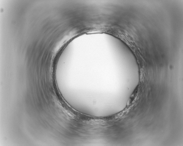 X0000088610150200706221439