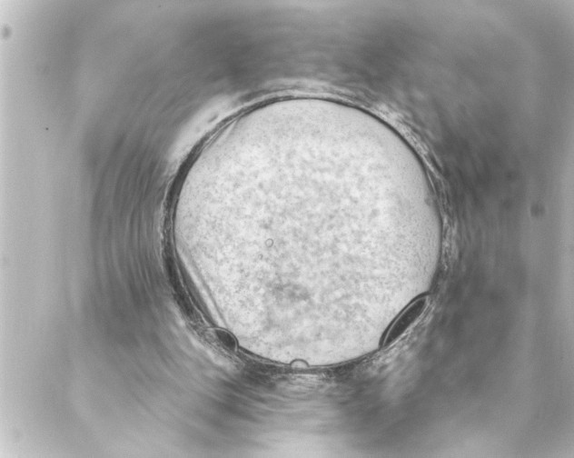 X0000088610151200706221439