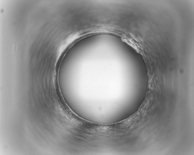 X0000088610152200706221439