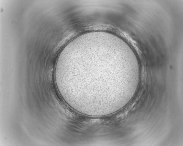 X0000088610153200706221439