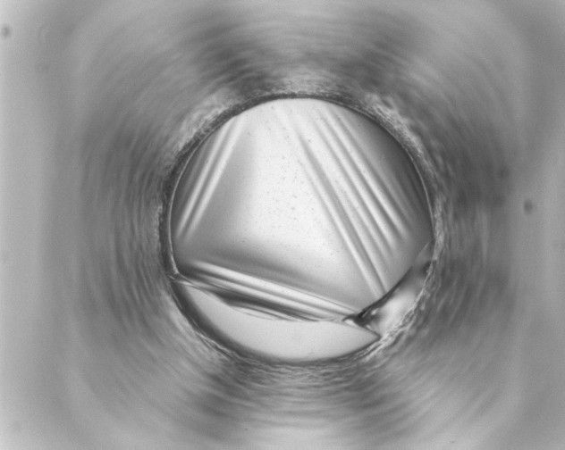 X0000088610154200706221439