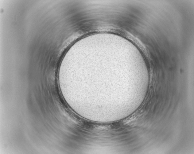 X0000088610155200706221439