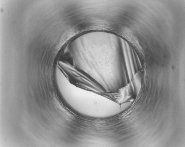 X0000088610156200706221439