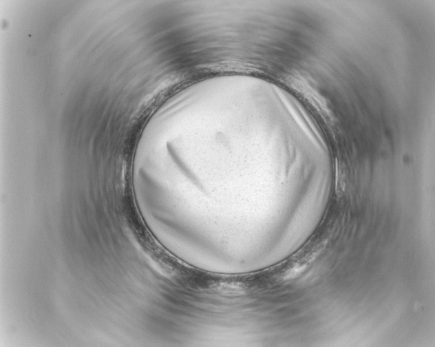 X0000088610157200706221439