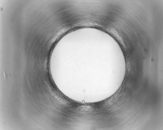 X0000088610159200706221439