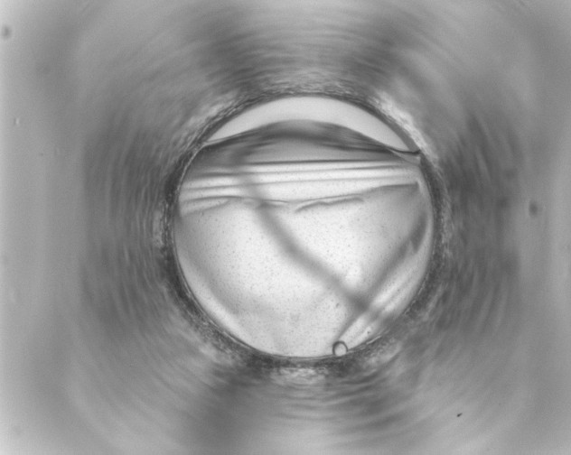 X0000088610161200706221439