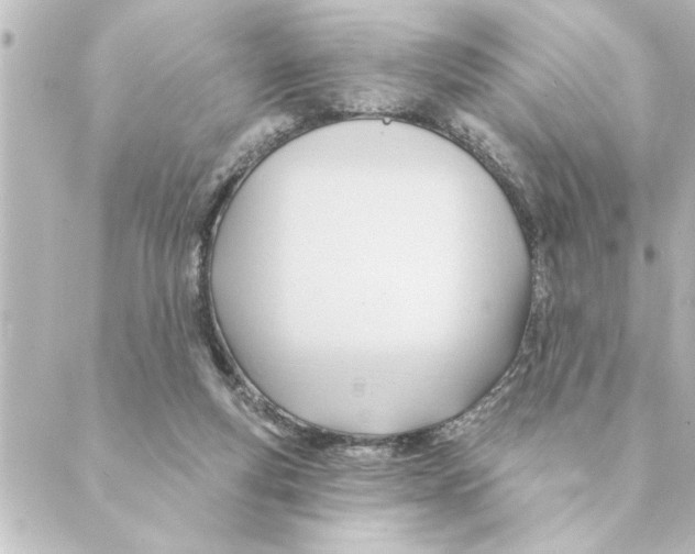 X0000088610163200706221439