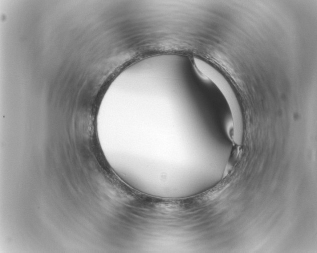 X0000088610164200706221439