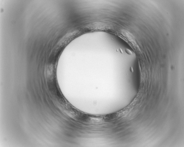 X0000088610167200706221439