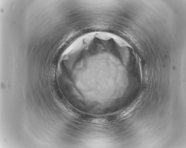 X0000088610168200706221439