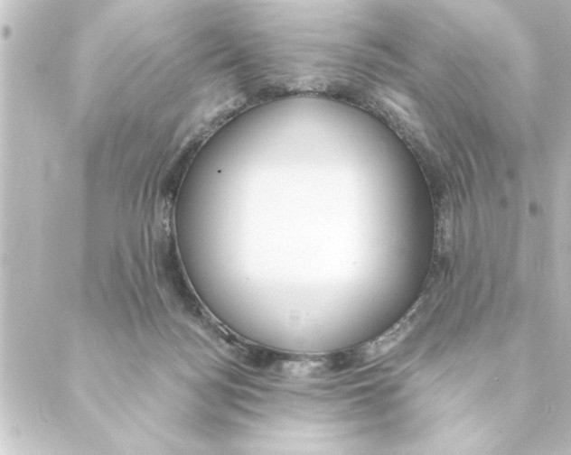 X0000088610172200706221439