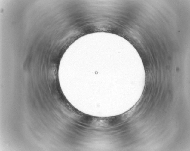 X0000088610174200706221439