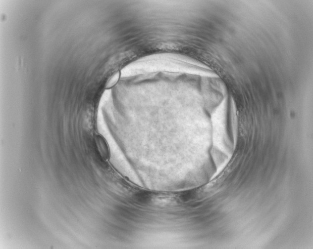 X0000088610175200706221439