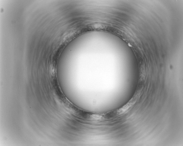 X0000088610176200706221439