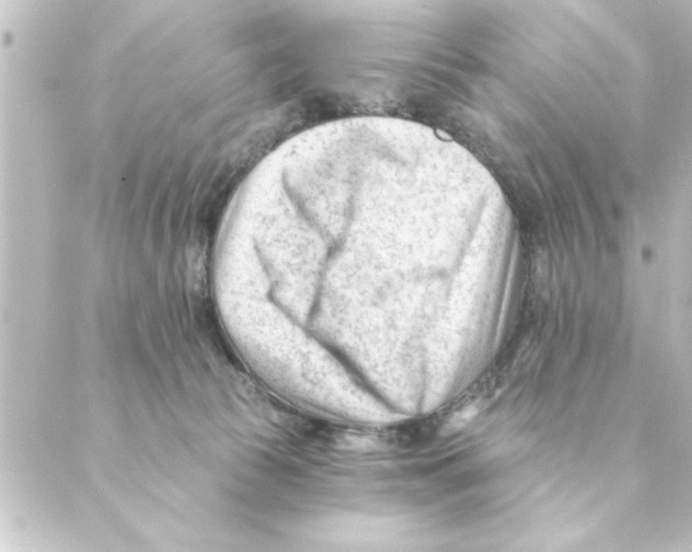 X0000088610177200706221439