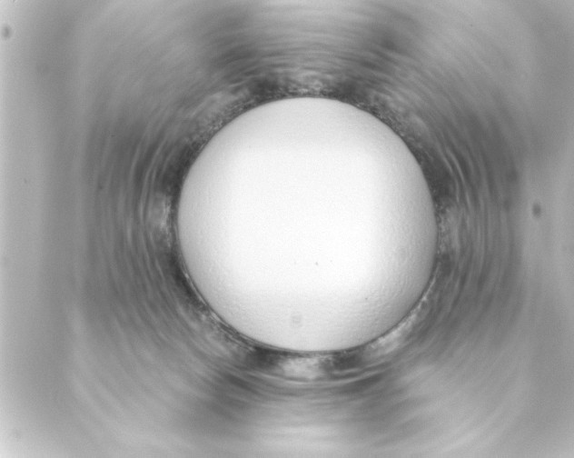 X0000088610178200706221439