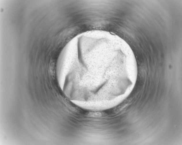 X0000088610181200706221440