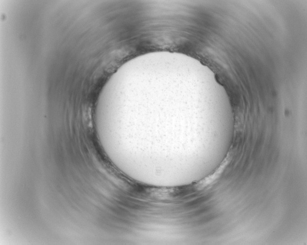 X0000088610182200706221440